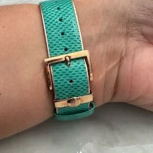 BCBGMaxAzria | Accessories | Bcbgmaxazria Gold And Teal  display picture 3